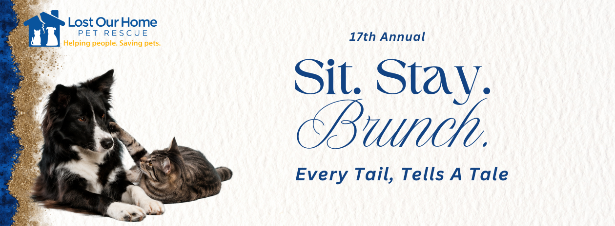 Lost Our Home Pet Rescue's 17th Annual Sit. Stay. Brunch.